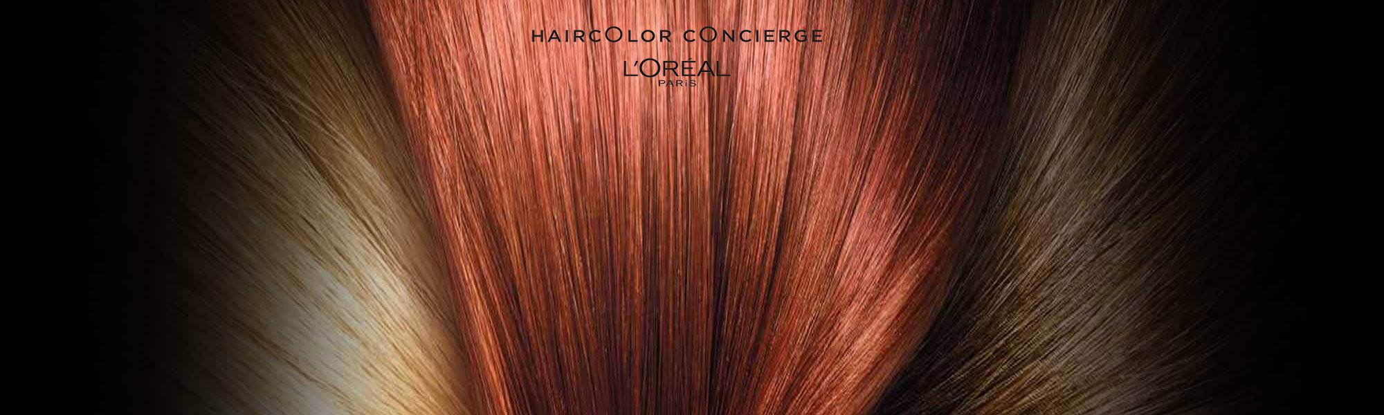 Loreal Paris Makeup Blonde Auburn Hair 2000x900 V7