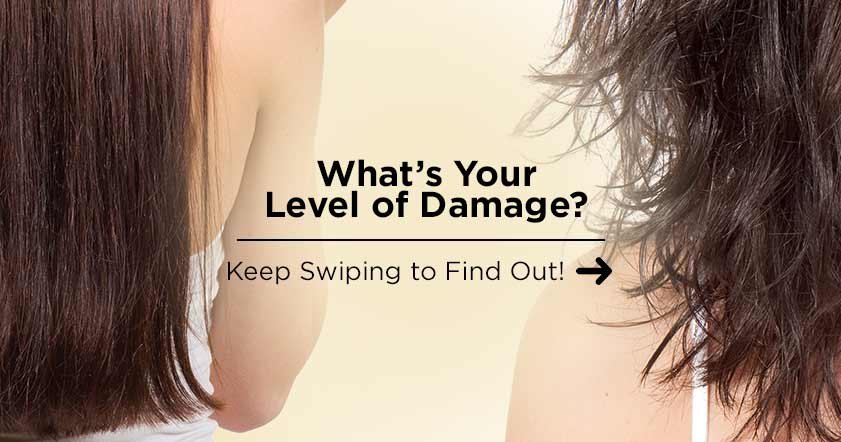 Loreal Paris BMAG Slideshow How Damaged Is Your Hair SLIDE 1 D 2