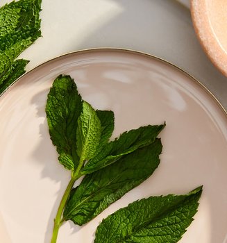 Complete Guide To Popular Skin Care Ingredients