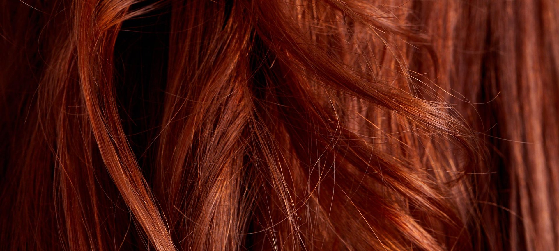 What Is Hair Made Of Structure Anatomy