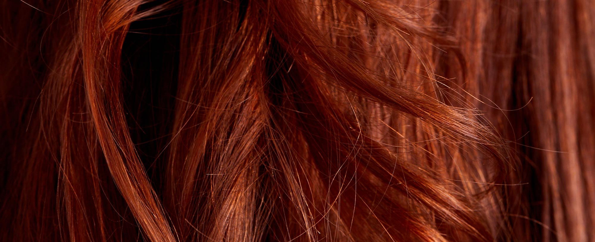 What Is Hair Made Of Structure Anatomy