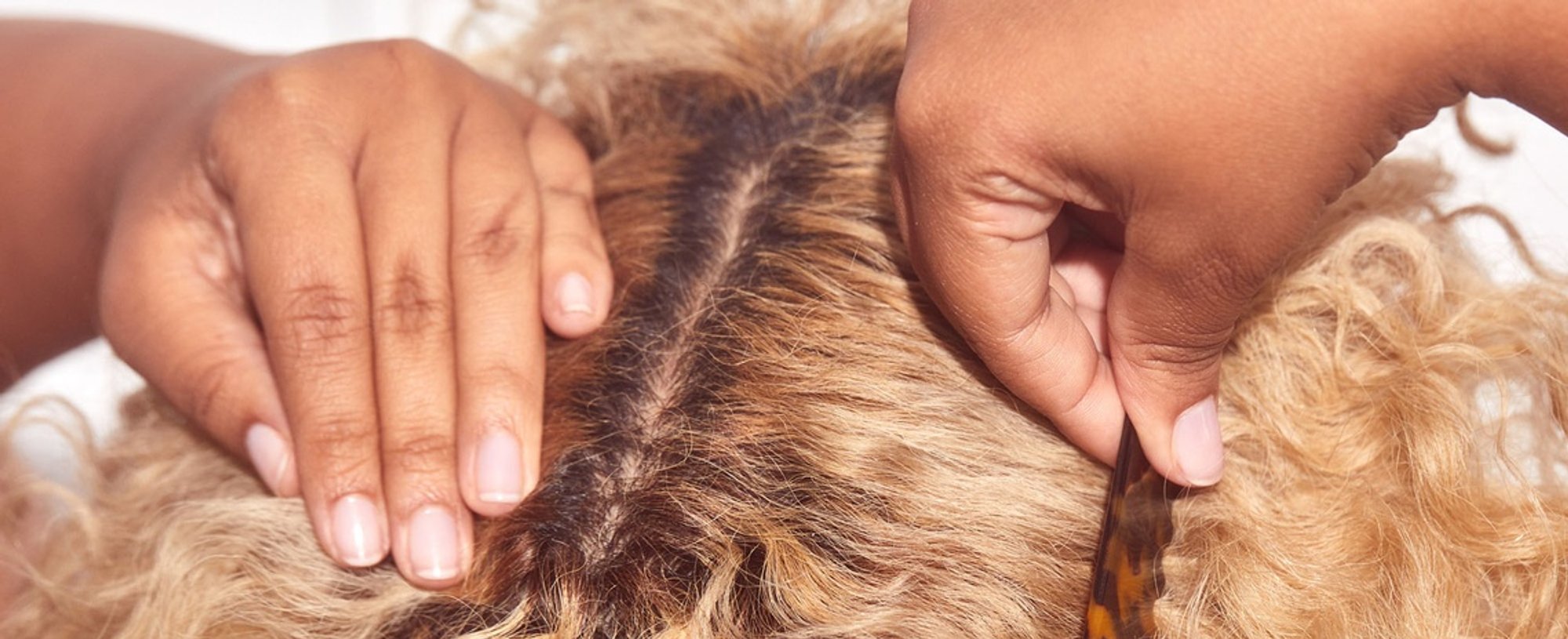 Guide To Covering Roots