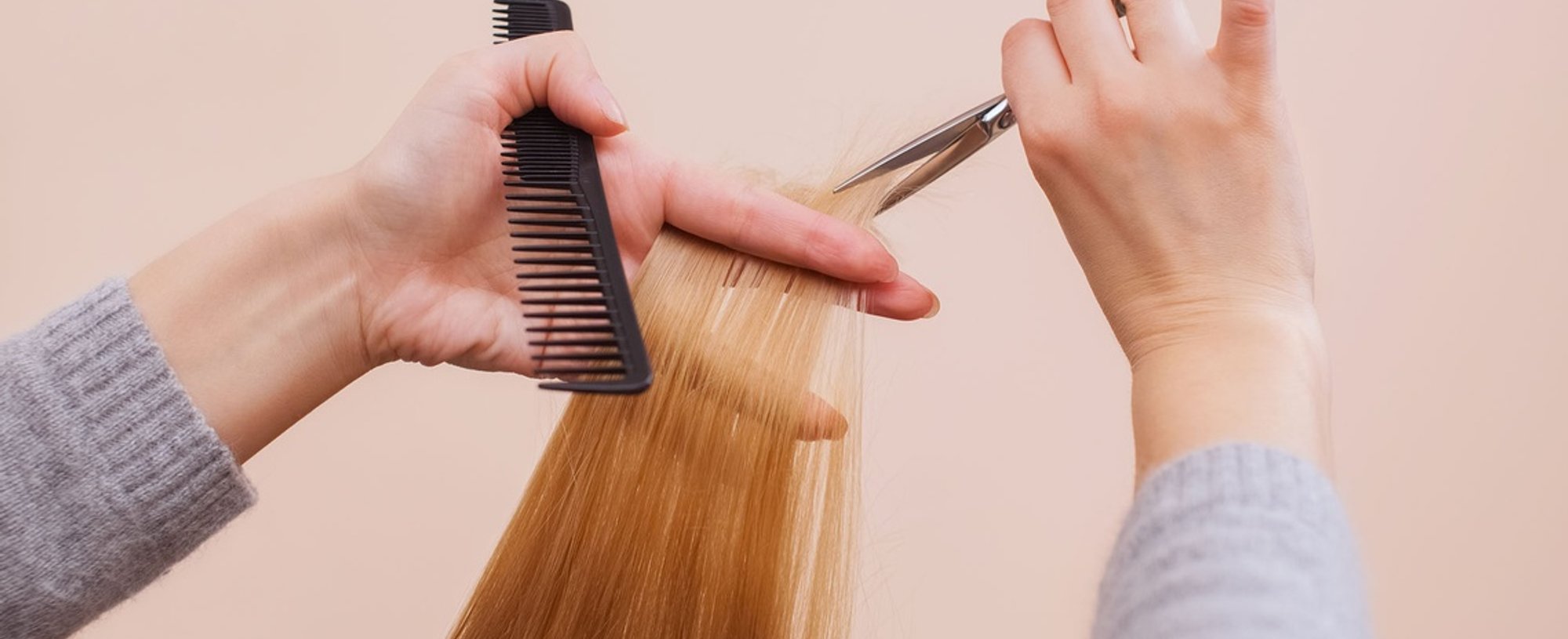 Hair Dusting Haircut