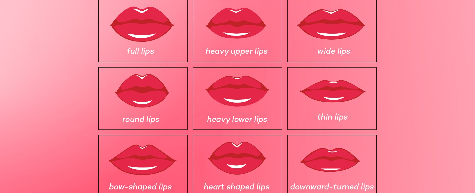 Lip Chart