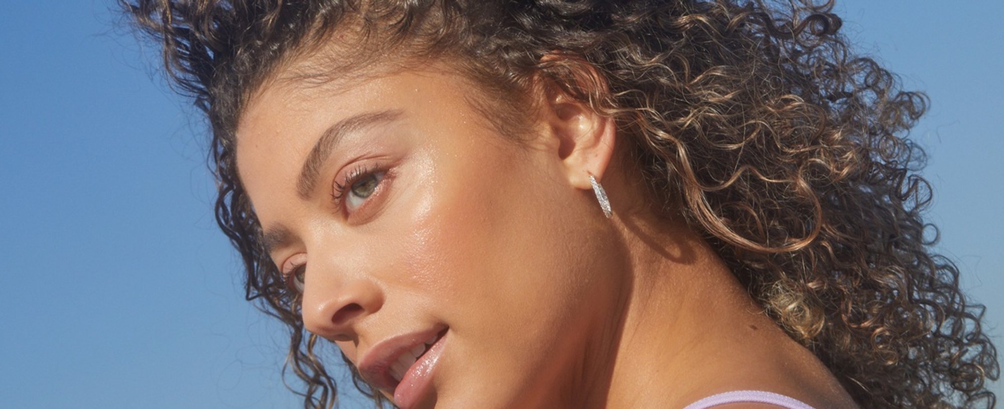 Highlights Dark Brown Hair