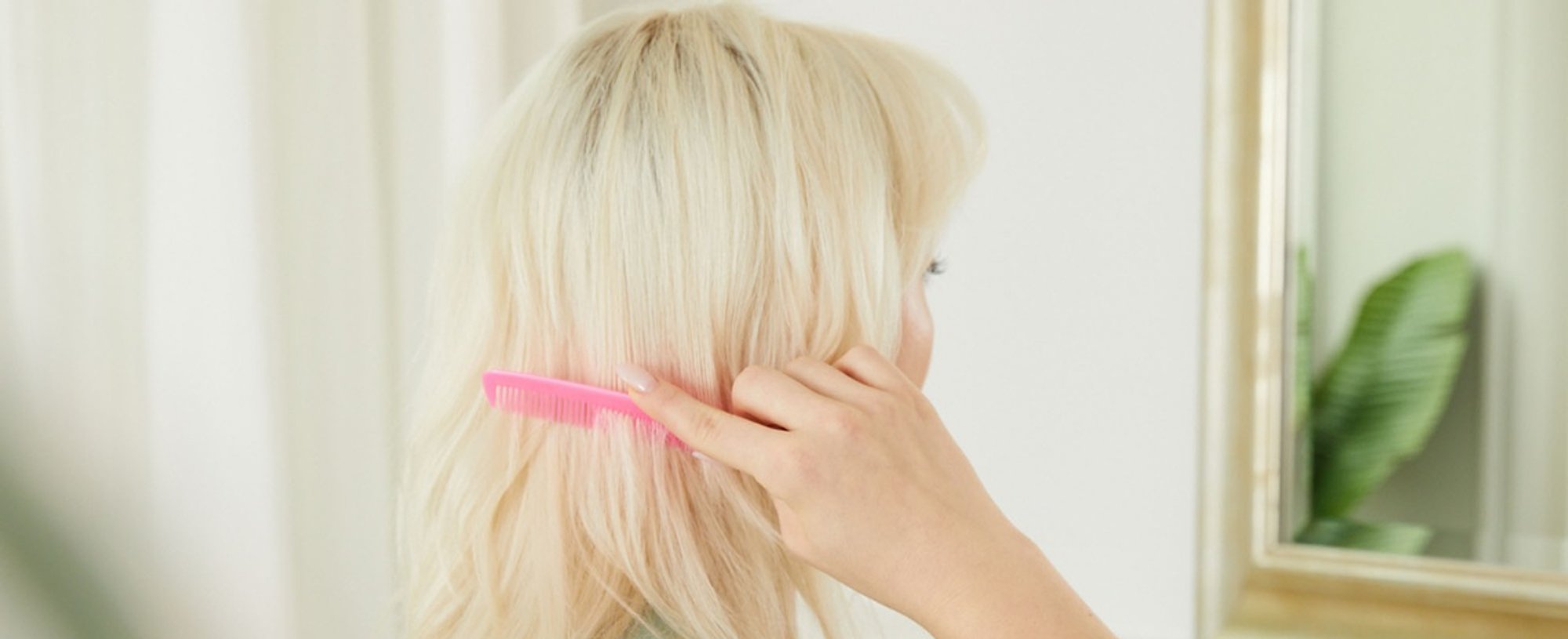 Hair Color Terms