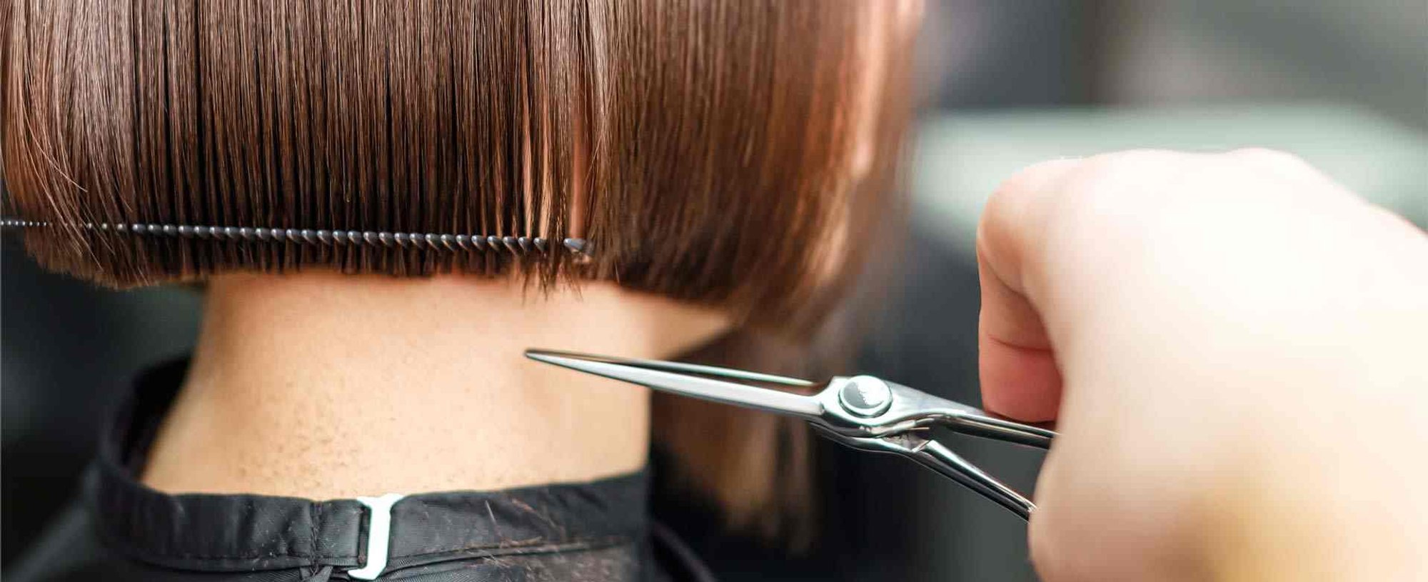 Loreal Article How Often Should You Cut Your Hair D