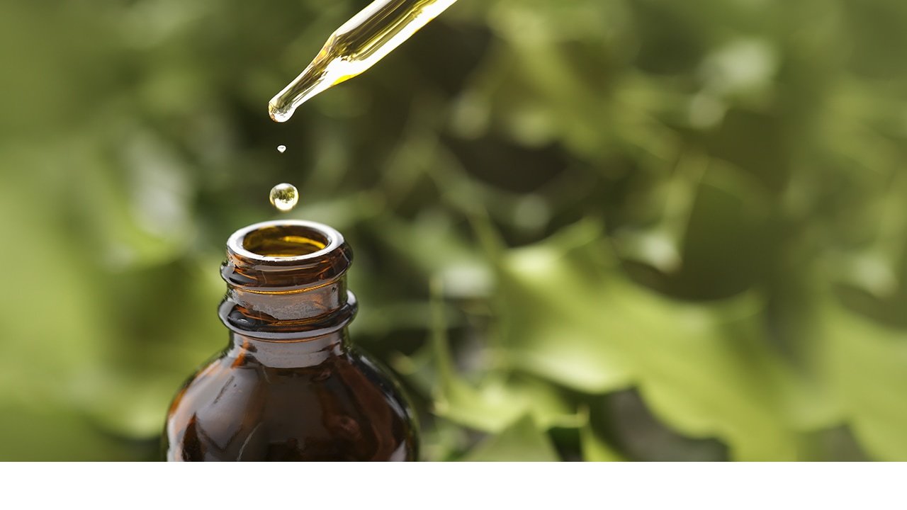 Loreal Paris BMAG Article Tea Tree Oil For Acne Does It Work D