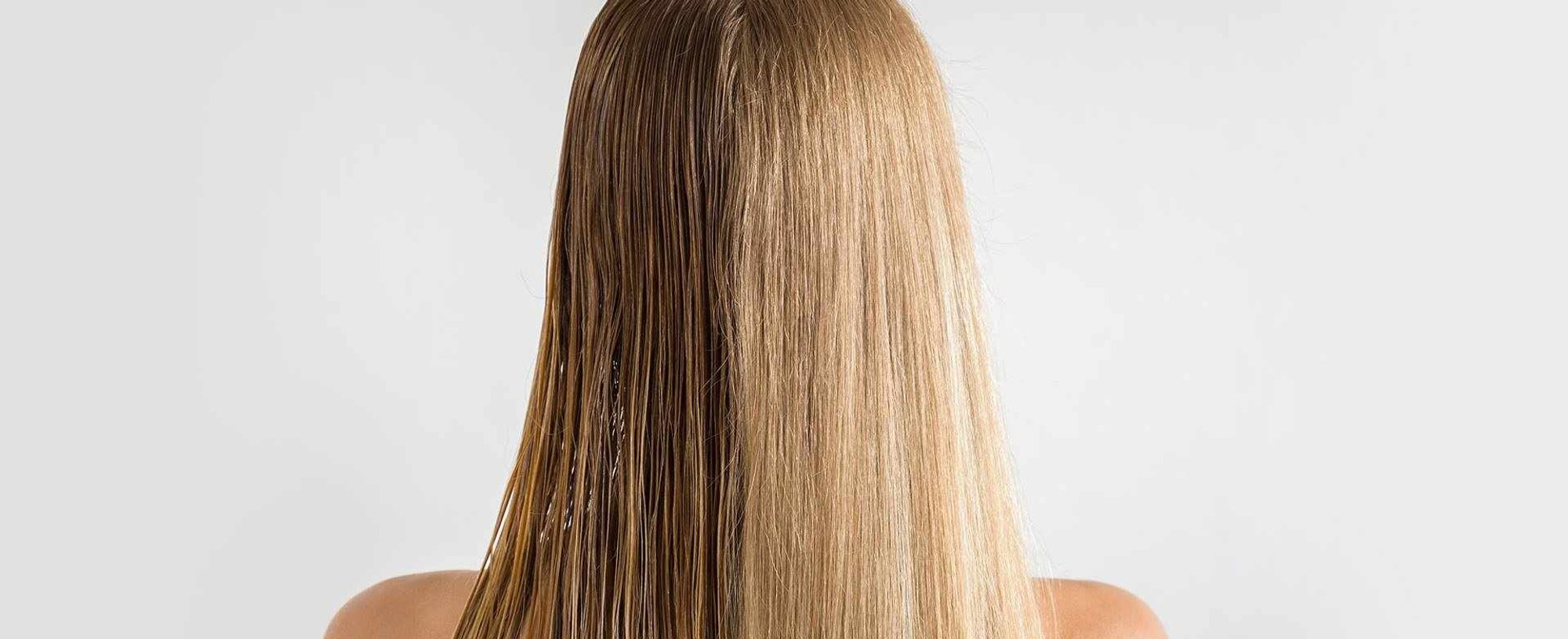 Loreal Paris Article Can You Straighten Wet Hair D