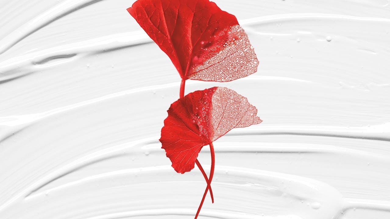 Loreal Paris BMAG Article What Is Centella Asiatica D