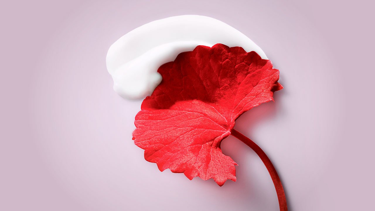 Loreal Paris BMAG How To Trending Now What Is Tiger Grass Main