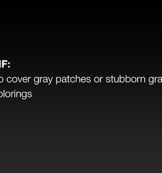 MousseAbsolue_Slides_StrayGrays_01