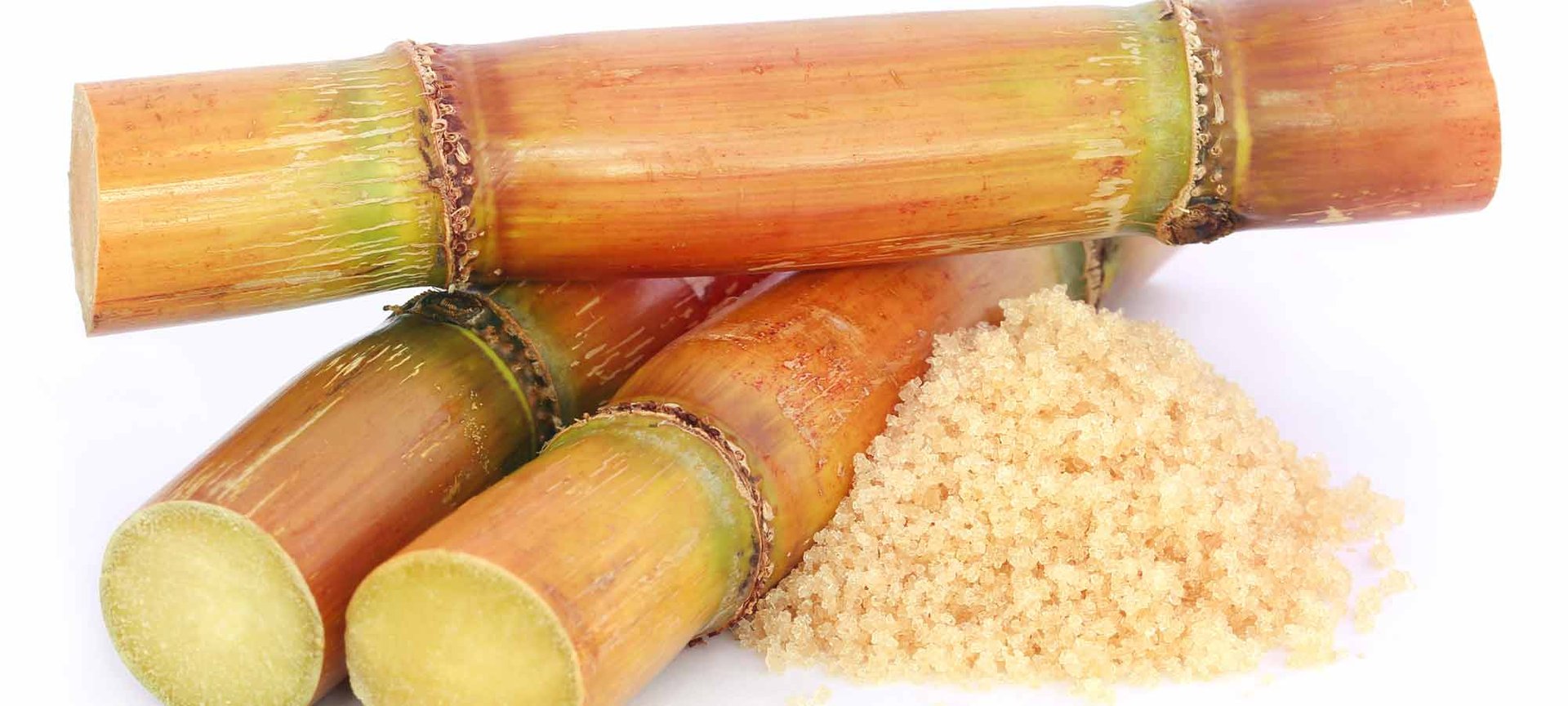 Loreal Paris Makeup Bamboo 2000x900