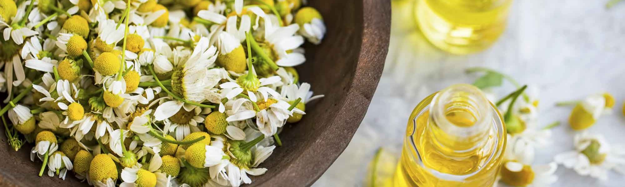 Loreal Paris Makeup Chamomile 2000x900