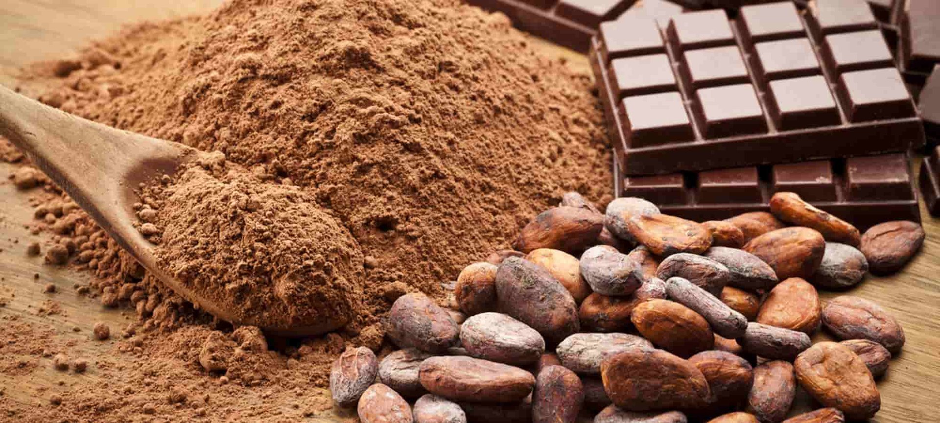 Loreal Paris Makeup Cocoa 2000x900