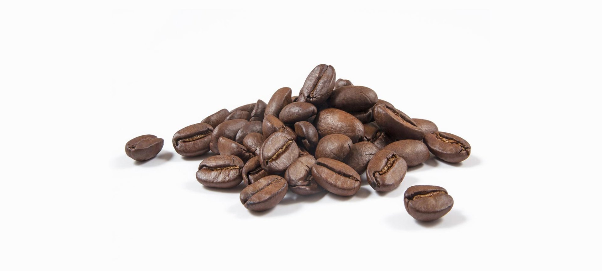 Loreal Paris Makeup Coffee Beans 2000x900