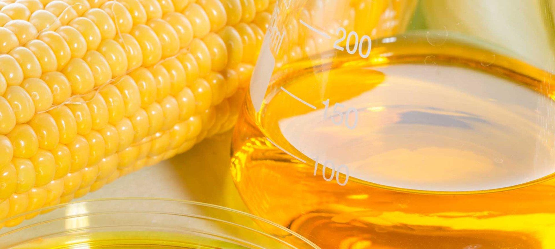 Loreal Paris Makeup Corn Syrup 2000x900