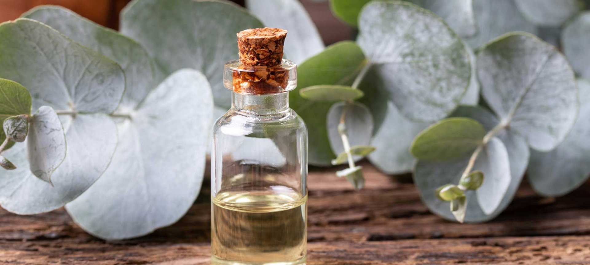 Loreal Paris Makeup Eucalyptus Oil 2000x900