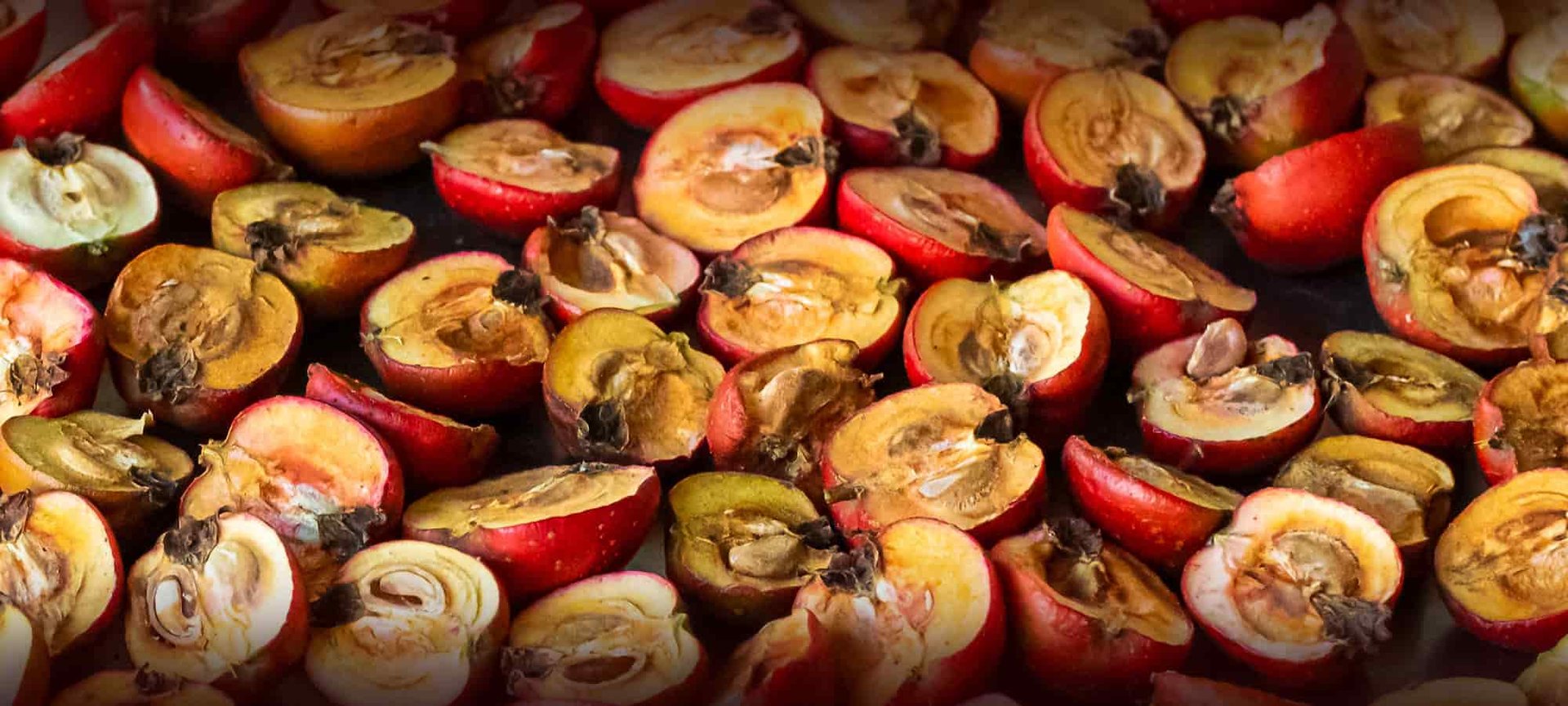 Loreal Paris Makeup Gardenia Florida Extract 2000x900 1