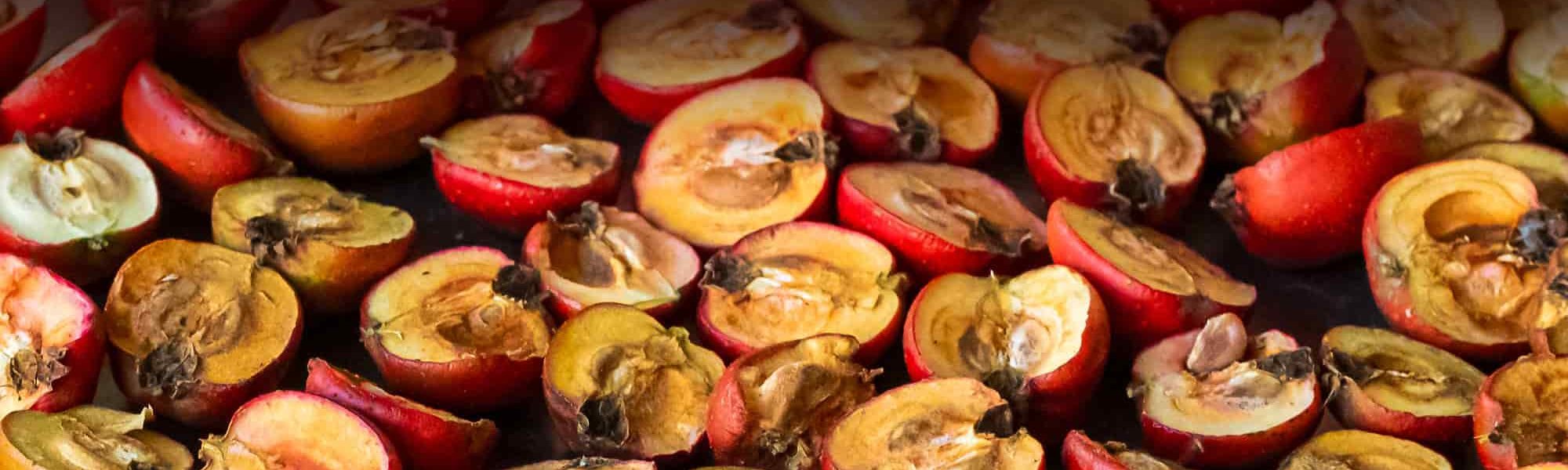 Loreal Paris Makeup Gardenia Florida Extract 2000x900 1