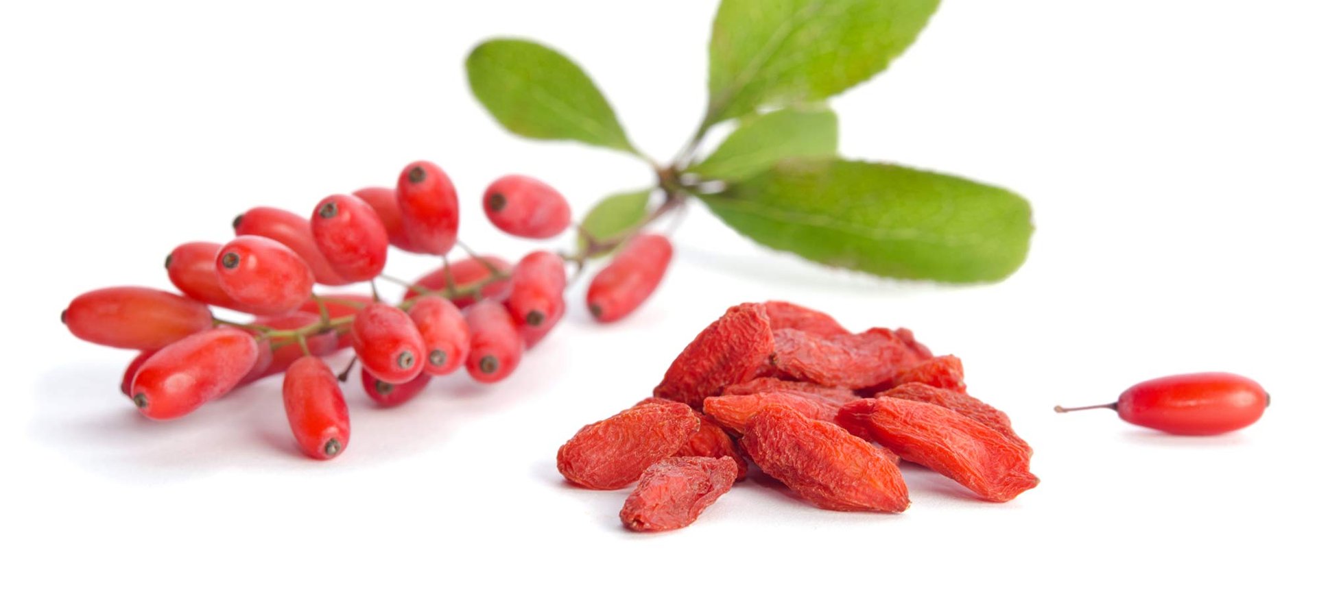 Loreal Paris Makeup Goji 2000x900