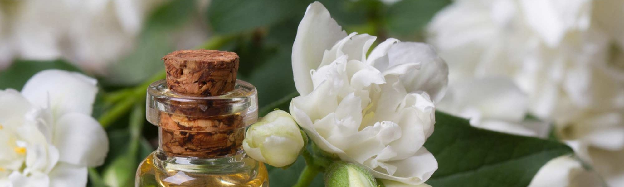 Loreal Paris Makeup Jasmine Oil 2000x900