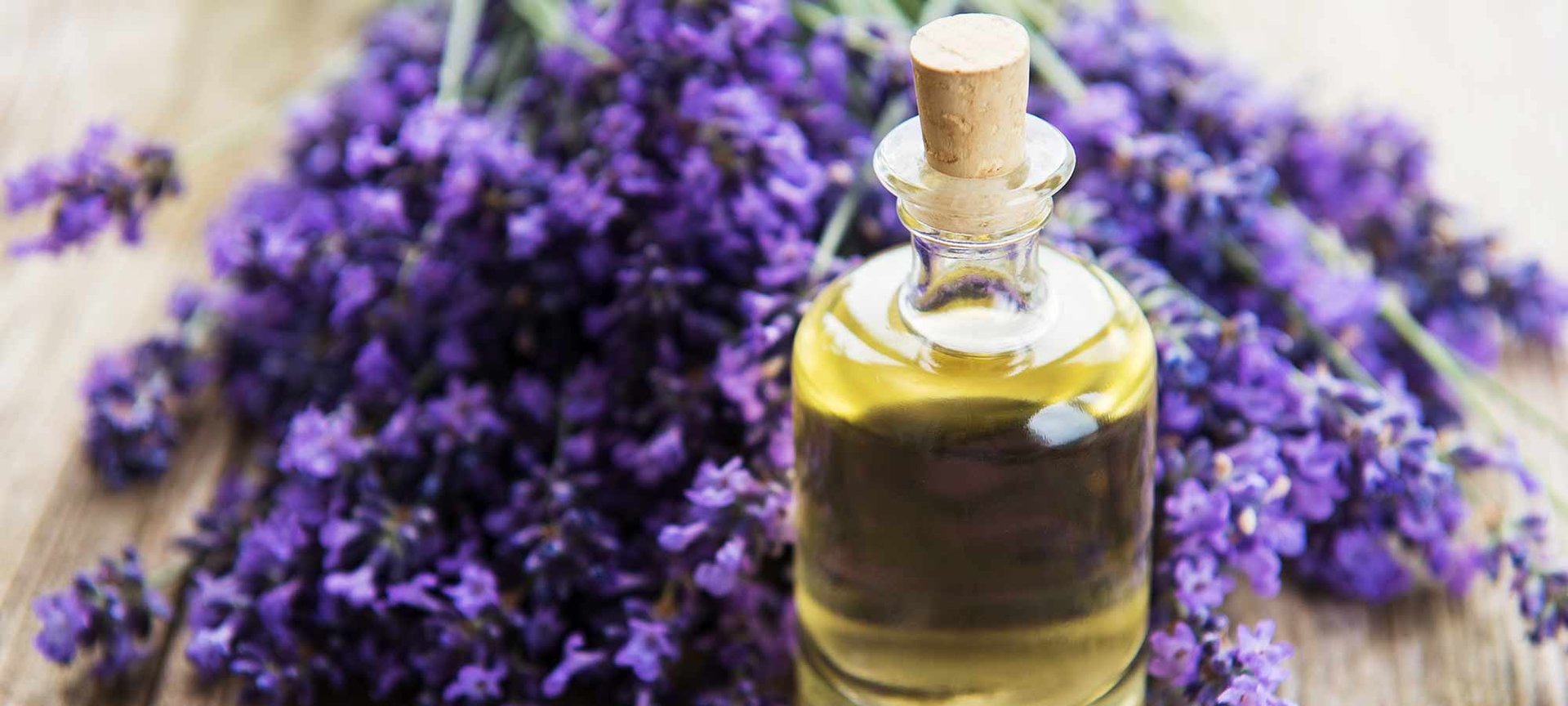 Loreal Paris Makeup Lavendar 2000x900