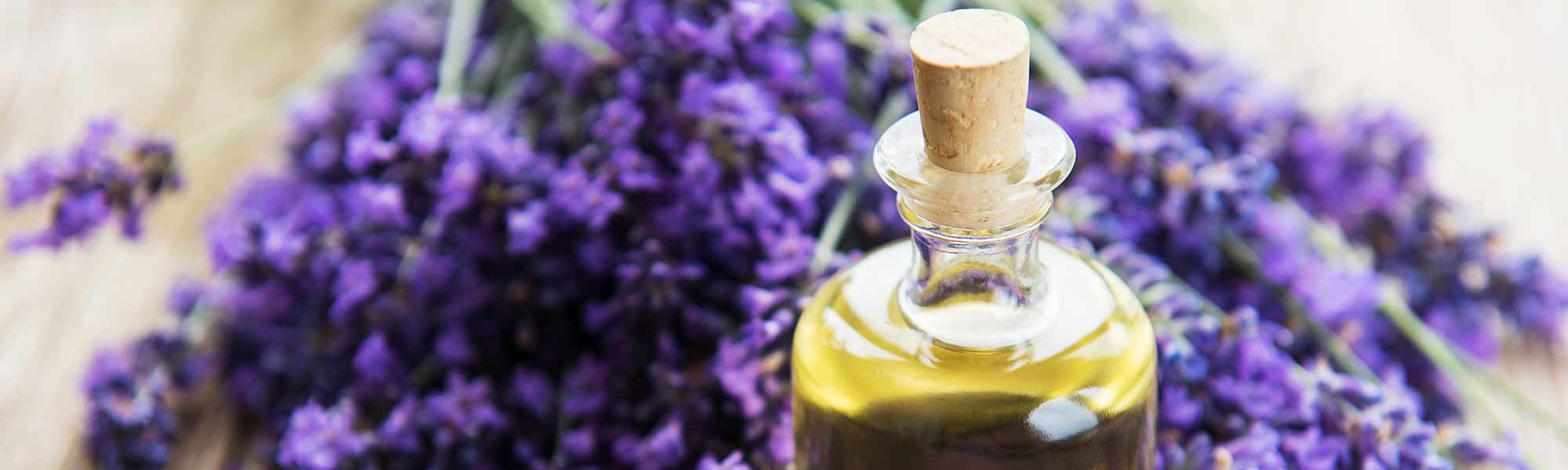 Loreal Paris Makeup Lavendar 2000x900