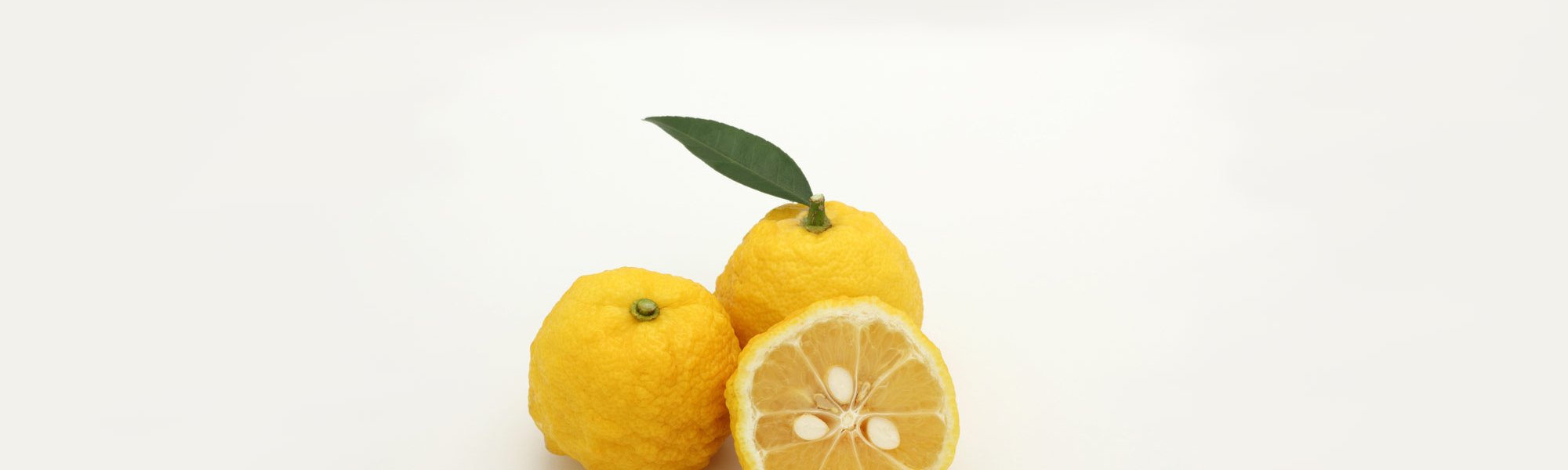 Loreal Paris Makeup Lemon 2000x900