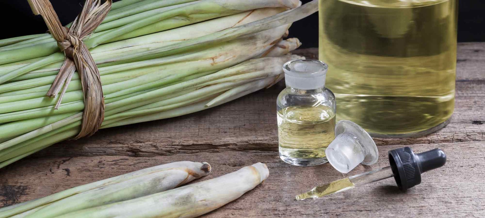 Loreal Paris Makeup Lemongrass Oil 2000x900