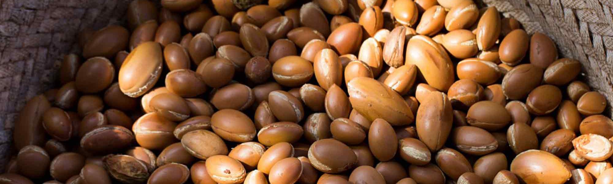 Loreal Paris Makeup Matrimandir 2000x900