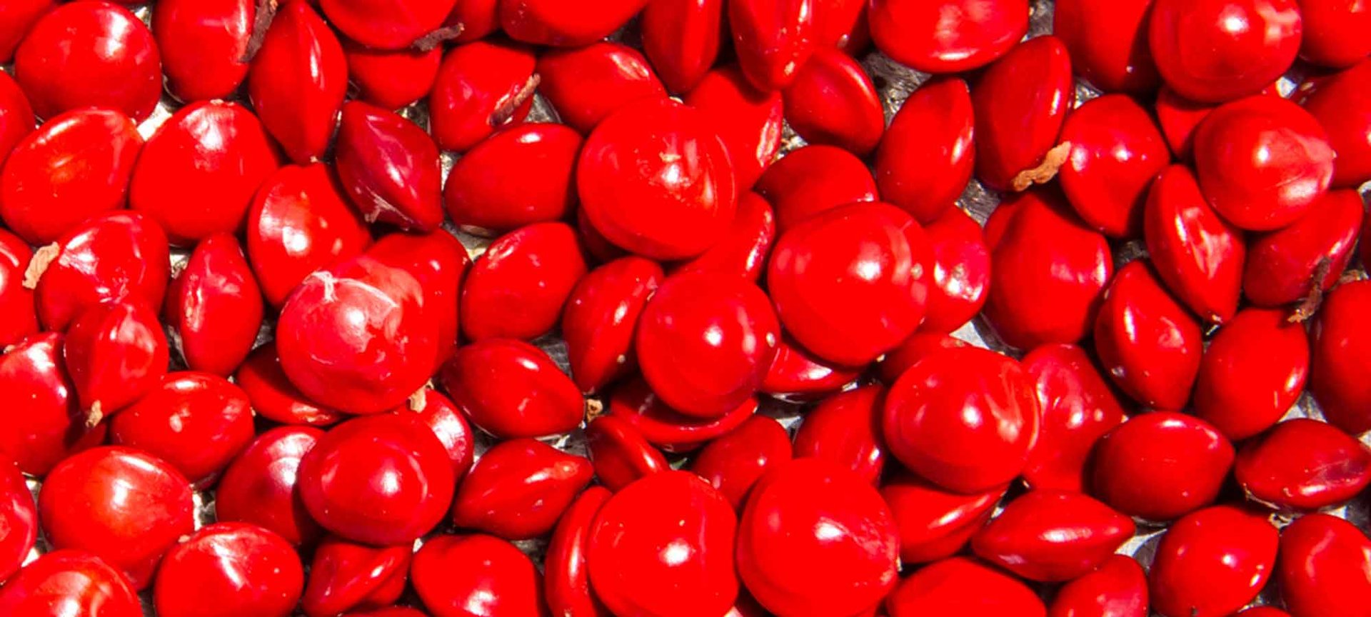 Loreal Paris Makeup Red 2000x900