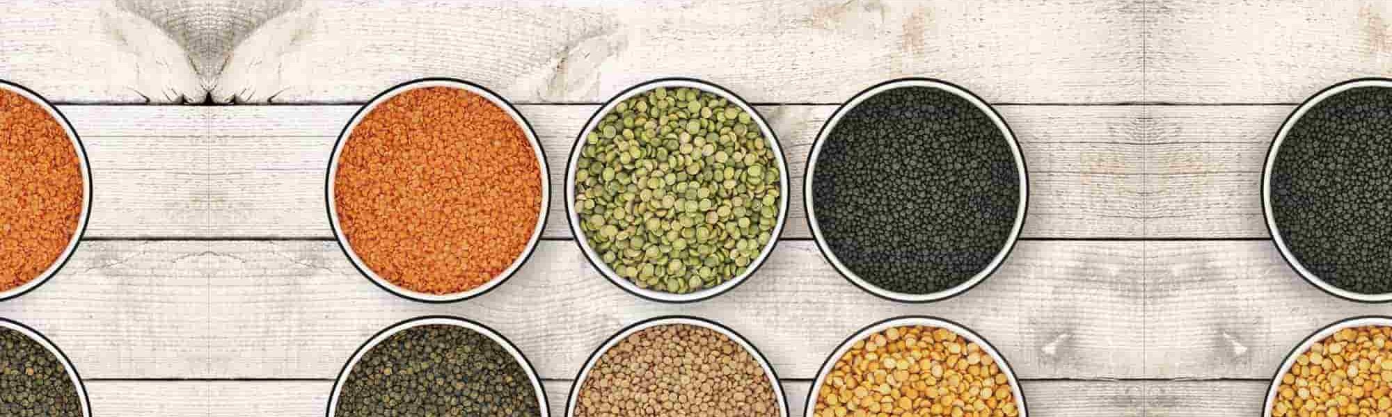 Loreal Paris Makeup Spices 2000x900