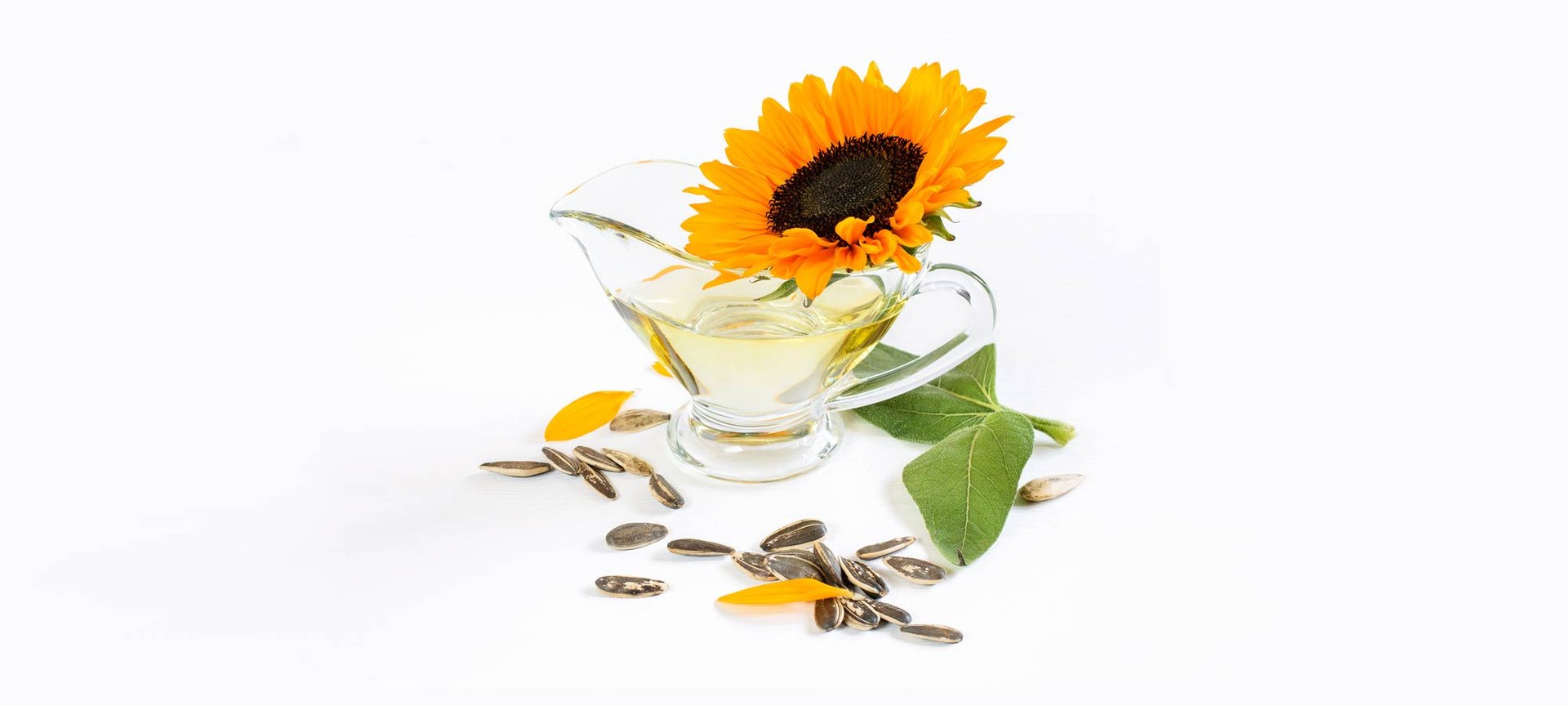 Loreal Paris Makeup Sunflower Seed Oil 2000x900