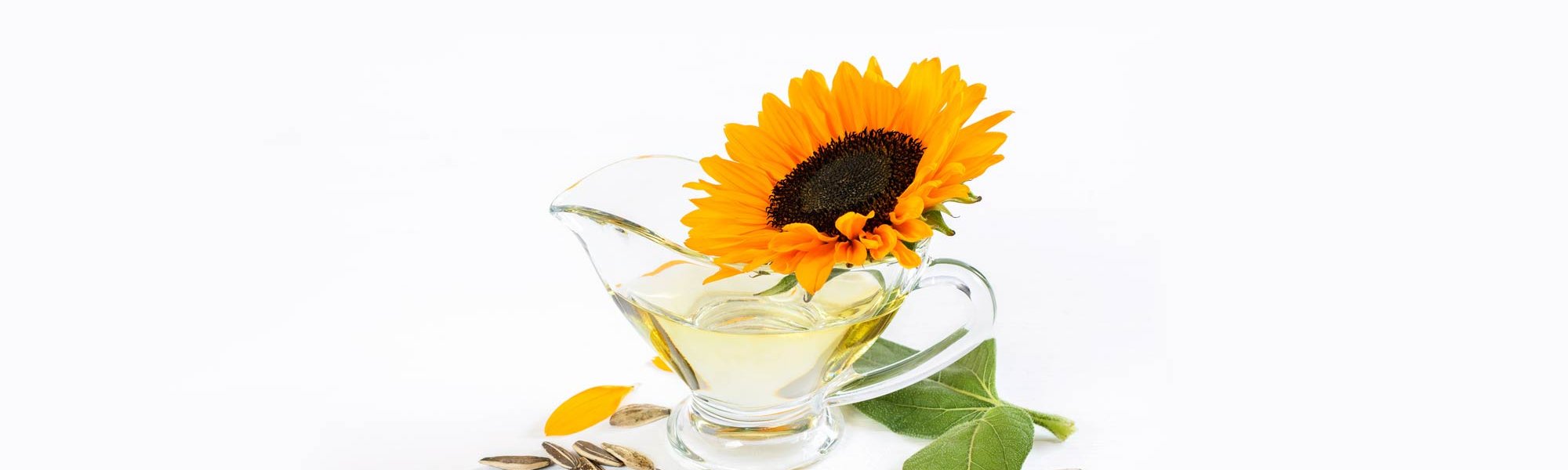 Loreal Paris Makeup Sunflower Seed Oil 2000x900