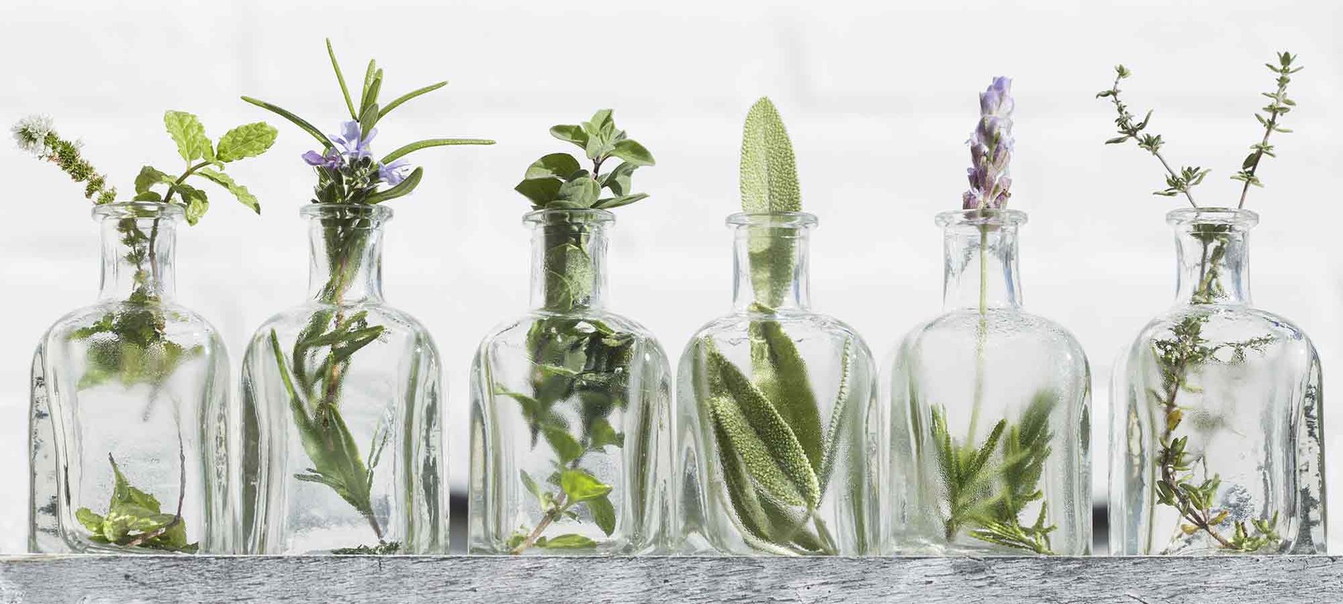 Loreal Paris Makeup Tea Tree Oil 2000x900