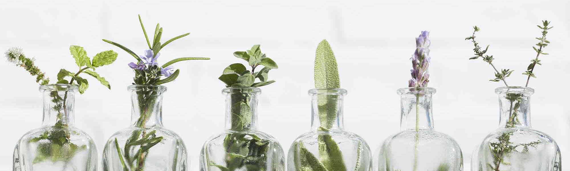 Loreal Paris Makeup Tea Tree Oil 2000x900