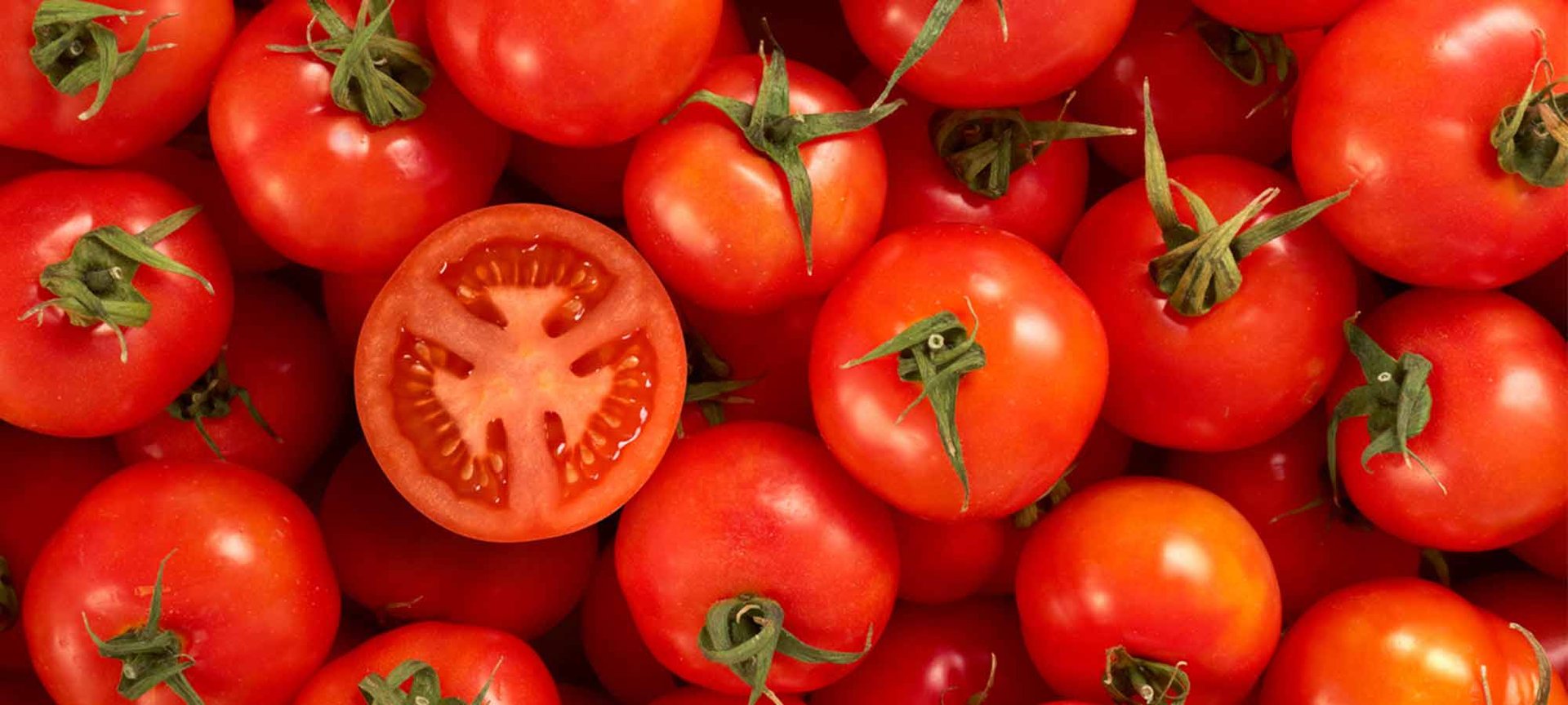 Loreal Paris Makeup Tomato 2000x900