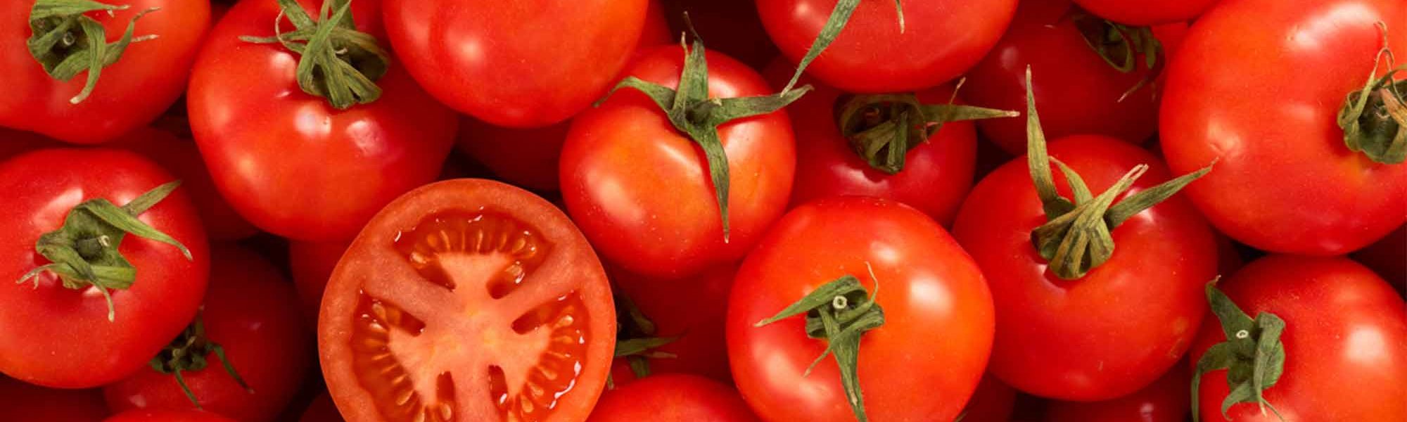Loreal Paris Makeup Tomato 2000x900