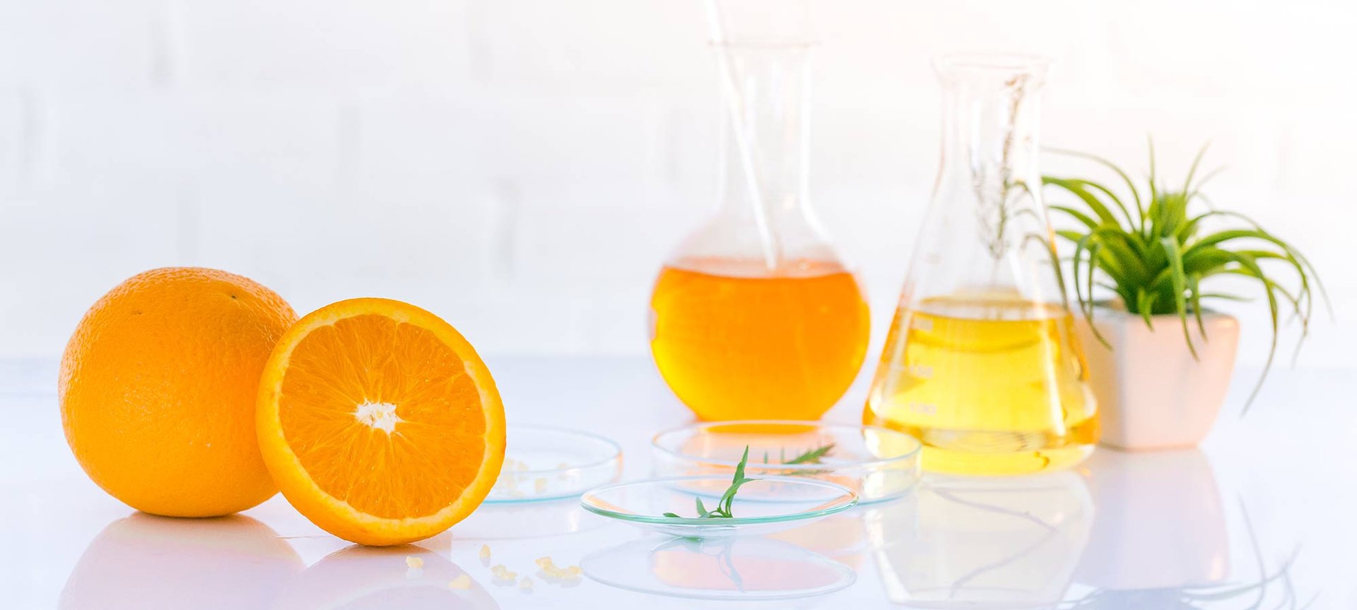 Ingredient Library - Vitamin C and Oranges