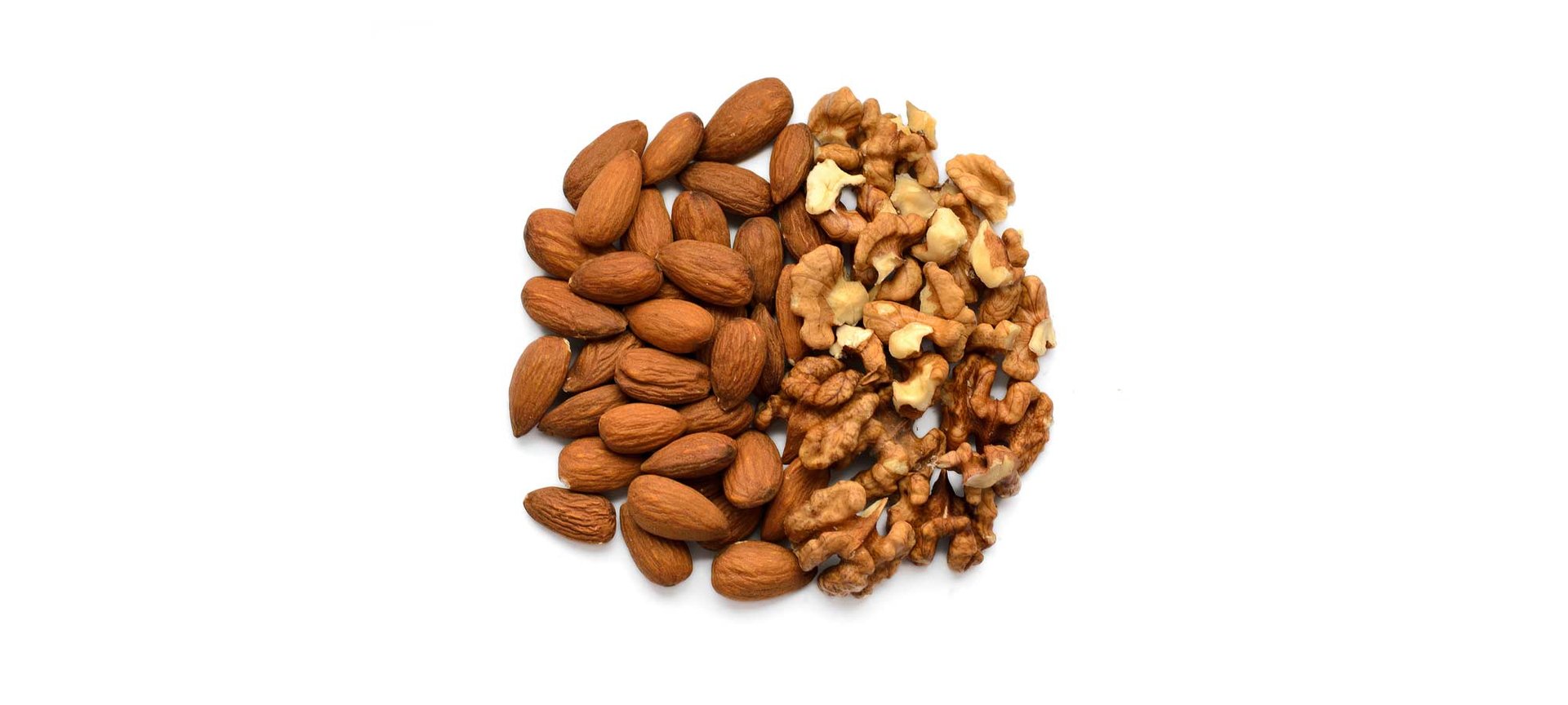 Loreal Paris Makeup Walnuts 2000x900