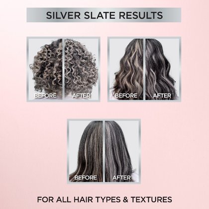 LOreal Haircolor Le Color Gloss Silver Slate Applied 071249654125 AV49