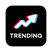 Tiktok Seal Png V3